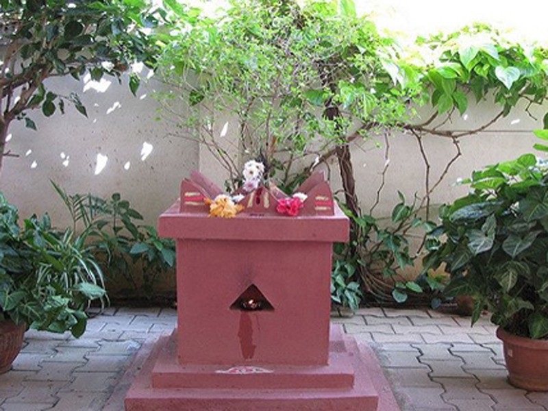 आज हरिबोधिनी एकादशी पर्वः तुलसी र दामोदरको विवाह
